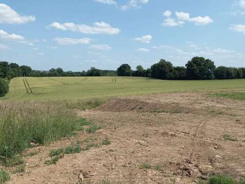 Vente de terrain La Lande-Patry 61