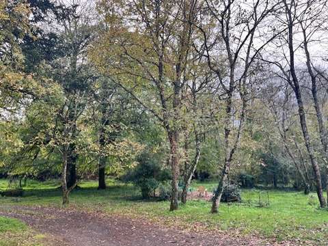 Vente de terrain La Limouzinière 44