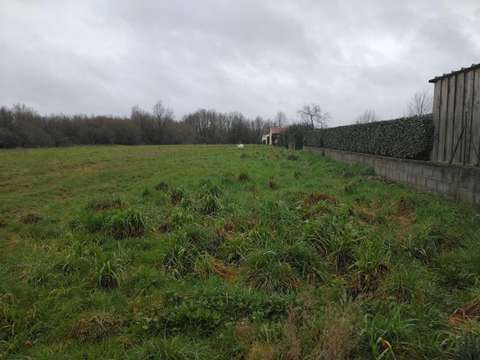 Vente de terrain