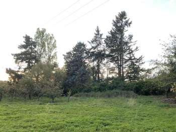Vente de terrain La Meignanne 49