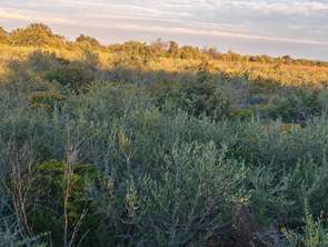 Vente Terrain 3135 m&sup2;La Palme