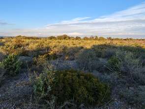 Vente Terrain 3300 m&sup2;La Palme