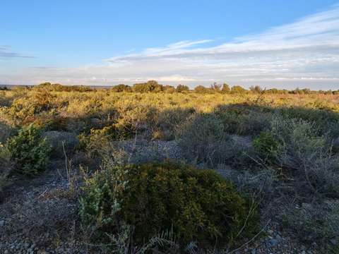 Vente de terrain La Palme 11