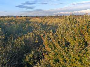 Vente Terrain 5940 m&sup2;La Palme