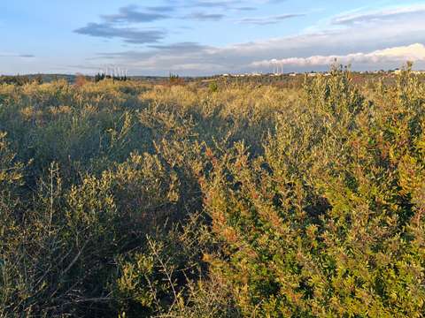 Vente de terrain La Palme 11