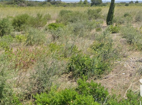 Vente de terrain La Palme 11