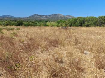 Vente Terrain 595 m&sup2;La Palme