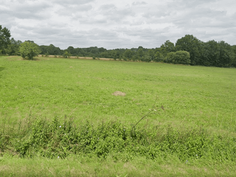 Vente de terrain La paquelais 44