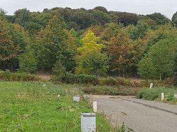 Vente de terrain
