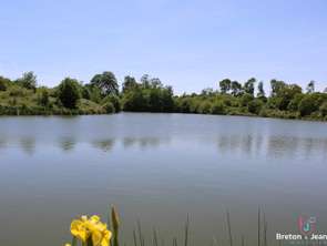 Vente Terrain 39017 m&sup2;La Pellerine