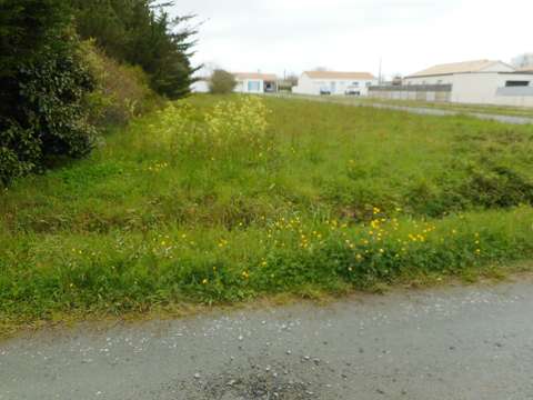 Vente de terrain La Plaine-sur-Mer 44