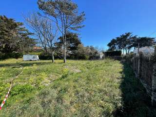 Vente de terrain