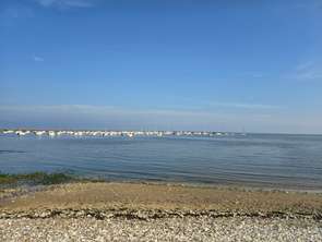 Vente Terrain 383 m&sup2;La Plaine-sur-Mer