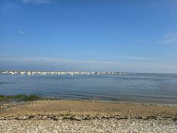 Vente de terrain La Plaine-sur-Mer 44