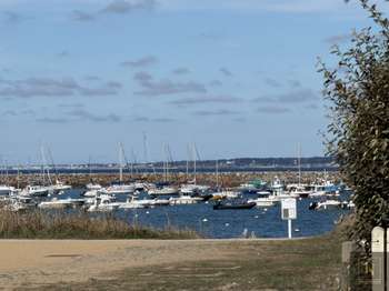 Vente de terrain La Plaine-sur-Mer 44