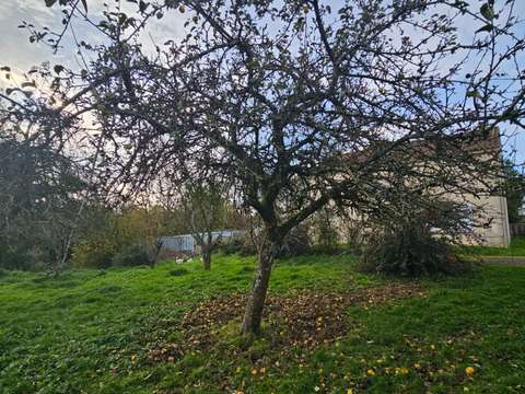 Vente de terrain La Regrippière 44