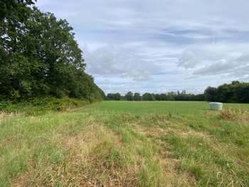 Vente de terrain La Roche-sur-Yon 85
