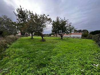 Vente Terrain 1250 m&sup2;La Roche-Sur-Yon Centre Ville