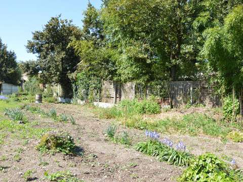 Vente de terrain
