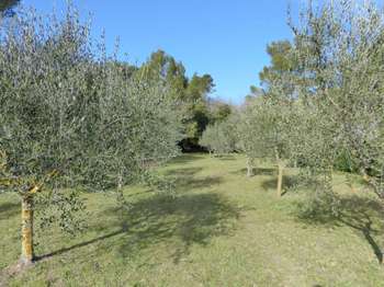 Vente Terrain 1783 m&sup2;La Roquebrussanne