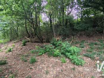 Vente Terrain 5780 m&sup2;Lagor