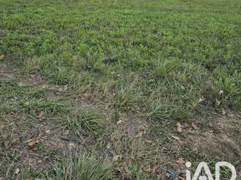 Vente Terrain 1348 m&sup2;Lalbenque