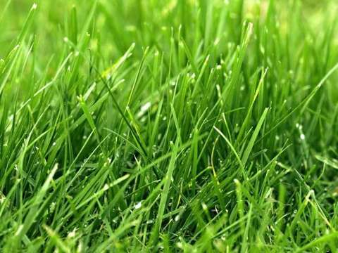 Vente de terrain Lamballe 22