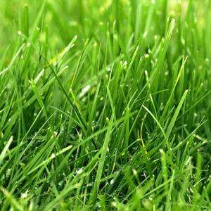 Vente de terrain Lamballe 22