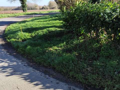 Vente de terrain