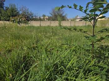 Vente Terrain 1612 m&sup2;Lampaul-Plouarzel