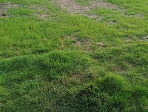 Vente Terrain 510 m&sup2;Landévant
