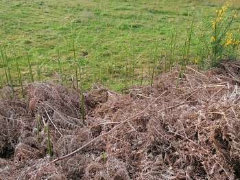 Vente Terrain 769 m&sup2;Landévant