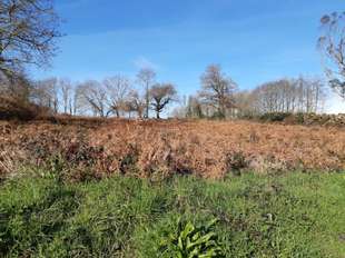 Photo Vente de terrain Landudec