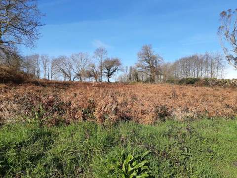 Vente de terrain Landudec 29