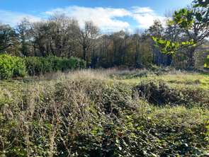 Vente Terrain 1403 m&sup2;Landudec