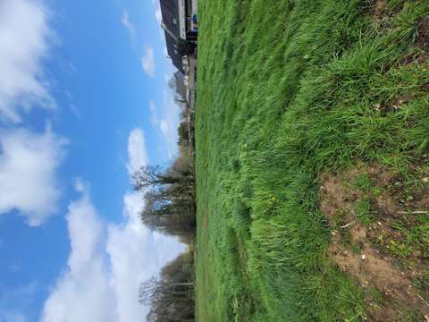 Vente de terrain Landujan 35