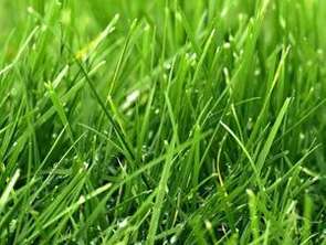 Vente Terrain 693 m&sup2;Langourla