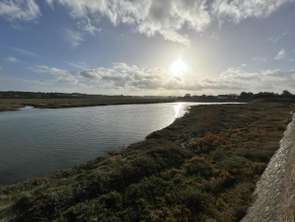 Vente Terrain 546 m&sup2;Langueux
