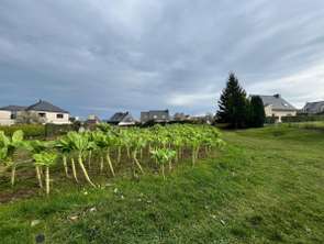 Vente Terrain 1780 m&sup2;Langueux