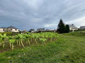 Vente de terrain Langueux 22