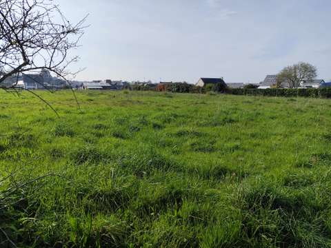 Vente de terrain