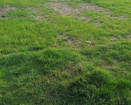 Vente de terrain Languidic 56