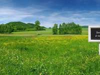 Vente de terrain