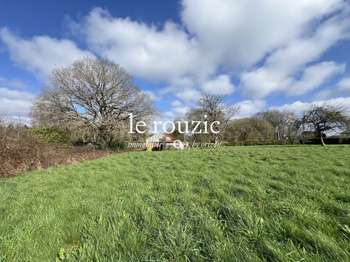 Vente de terrain Languidic 56
