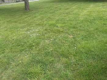 Vente Terrain 486 m&sup2;Languidic