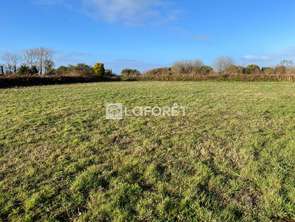 Vente Terrain 1600 m&sup2;Lanmodez