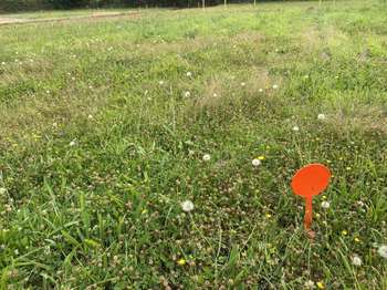 Vente Terrain 452 m&sup2;Lannilis