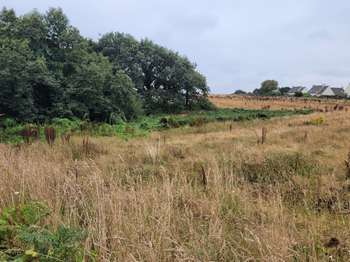 Vente Terrain 461 m&sup2;Lannilis