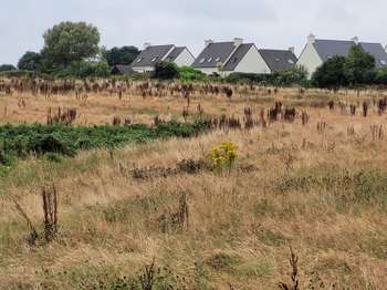 Vente de terrain Lannilis 29