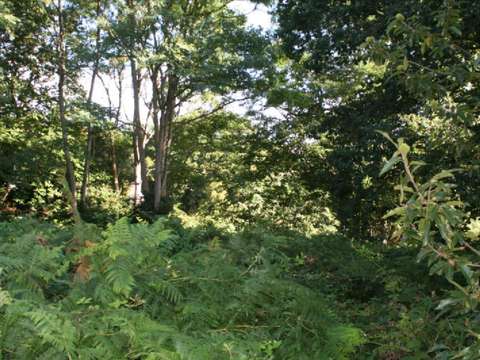 Vente de terrain Lannion 22